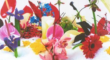 Eylül 2025'te Kaçırılmaması Gereken Sergiler