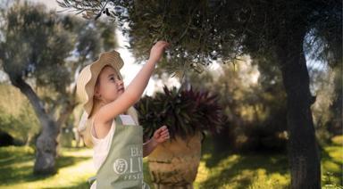 Zeytin Ağaçlarının Gölgesinde Bir Sonbahar Buluşması