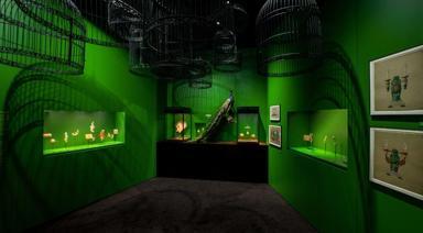 Kuşların Şiirsel Güzelliği