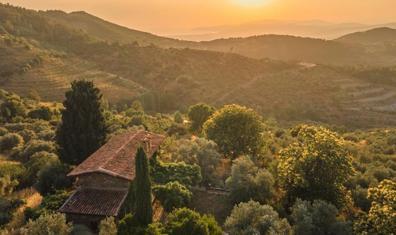 Türkiye'nin En İyi Bağ Otelleri