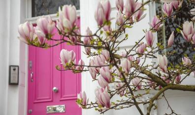 Selin Kolonya Manolya Esintisi ile Duyulara Taze Bir Dokunuş