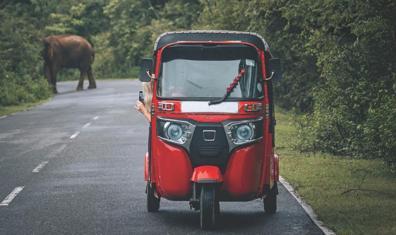 Hindistan ve Sri Lanka'nın Renkli Dünyası