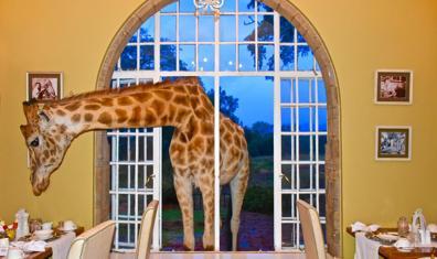 Dünyanın En Sıra Dışı Restoranları