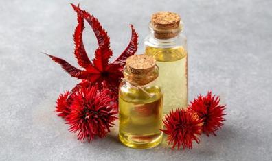 Hollywood'un Hint Yağı Tutkusu