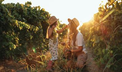 Dünyanın En İyi Bağ Otelleri