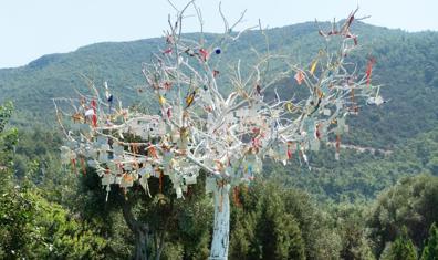 Baharın Müjdecisi Hıdırellez Ritüelleri