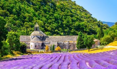 Doğanın Mor Mucizesi: Lavanta Bahçeleri
