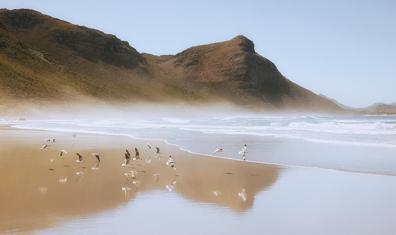 Sıcak Objektif: Türk Fotoğrafçılardan Yaz Kareleri