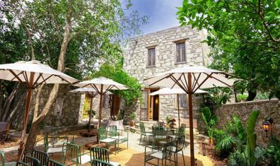 Eski Datça'ya Sanatla Örülü Yeni Bir Mekan