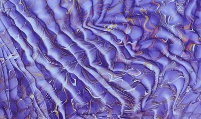 Ağustos 2025'te Kaçırılmaması Gereken Sergiler