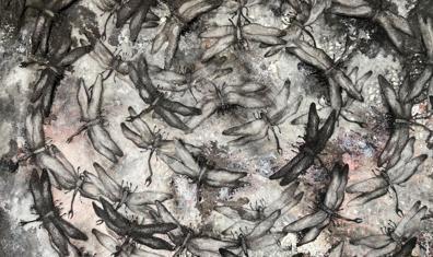 Dönüşümün İçinde Bir Yolculuk