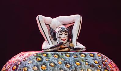 Akrobasiyle Kurulan Bir Ekosistem