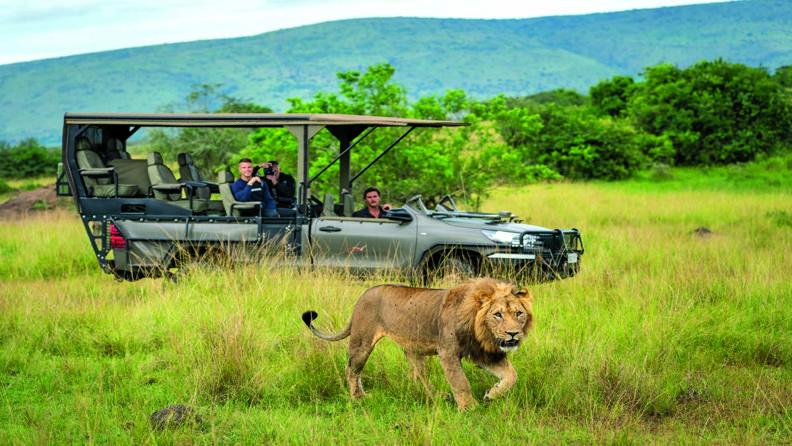 Doğaya Dönüş: Afrika Safari Rehberi