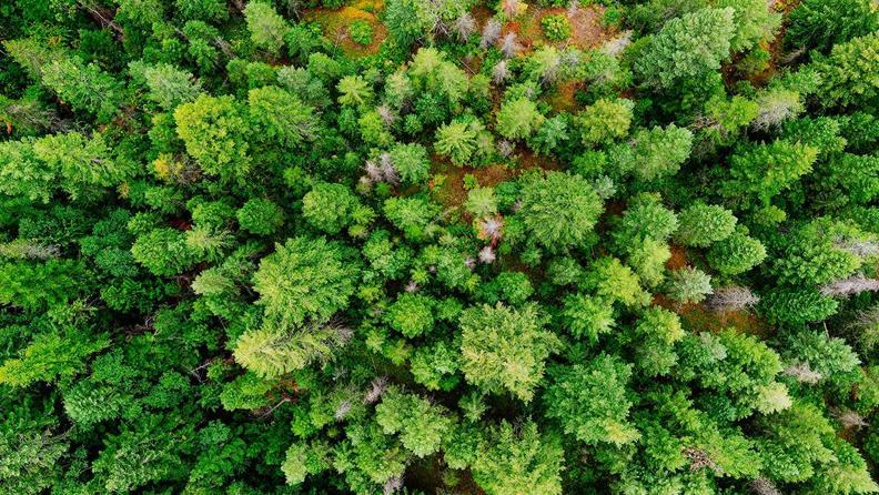 Sürdürülebilirlik ile İlgili Öne Çıkan Instagram Hesapları