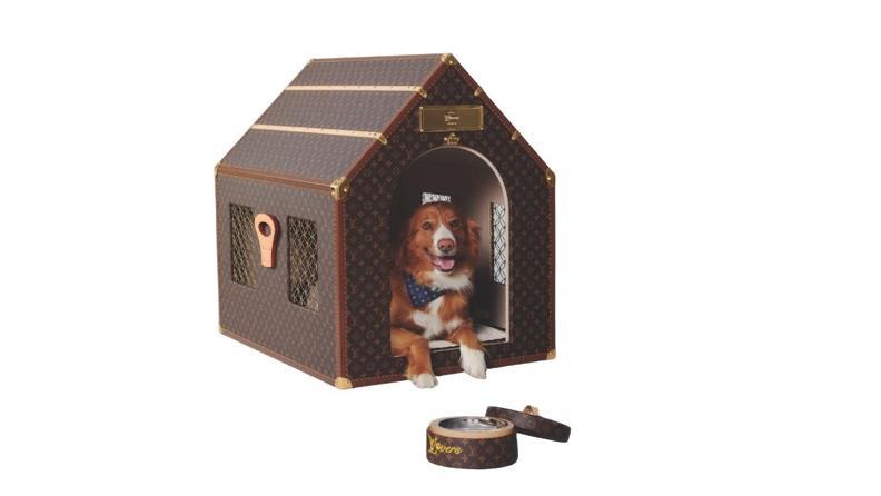 Tüylü Dostlara Lüks İmza