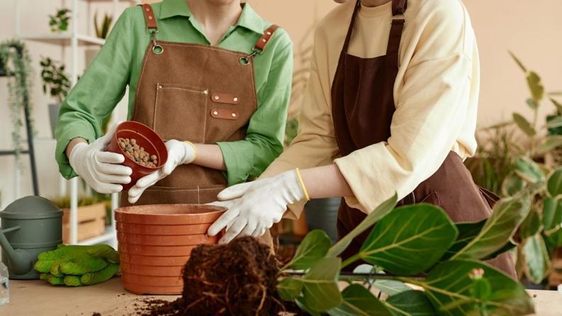 Dopamin Artıran Hobiler: Telefonsuz Keyif ve Mutluluk Rehberi