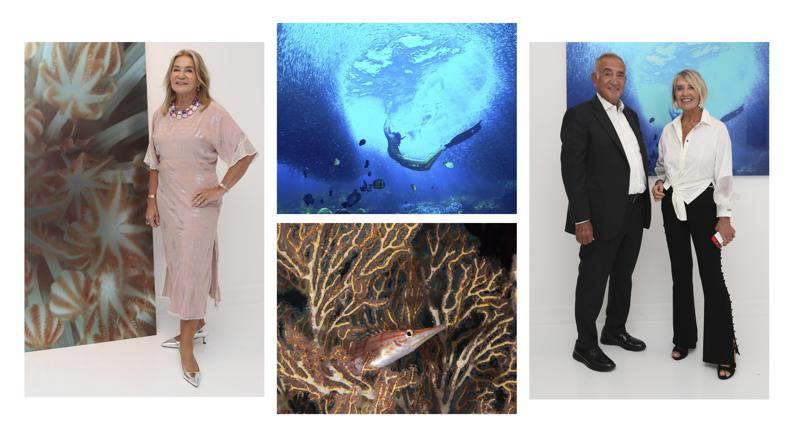 Ayşegül Dinçkök'ten Yeni Sergi