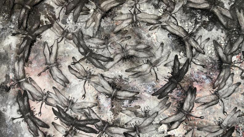 Dönüşümün İçinde Bir Yolculuk