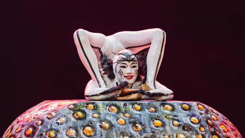 Akrobasiyle Kurulan Bir Ekosistem