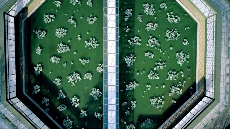 Canlı İzle: Dior 2026-27 Sonbahar/Kış Defilesi