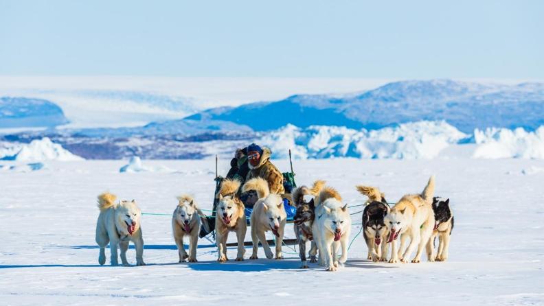 El Değmemiş Sessiz Lüks: Grönland